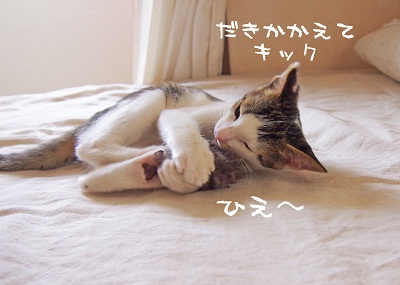P8171576-1のコピー.jpg