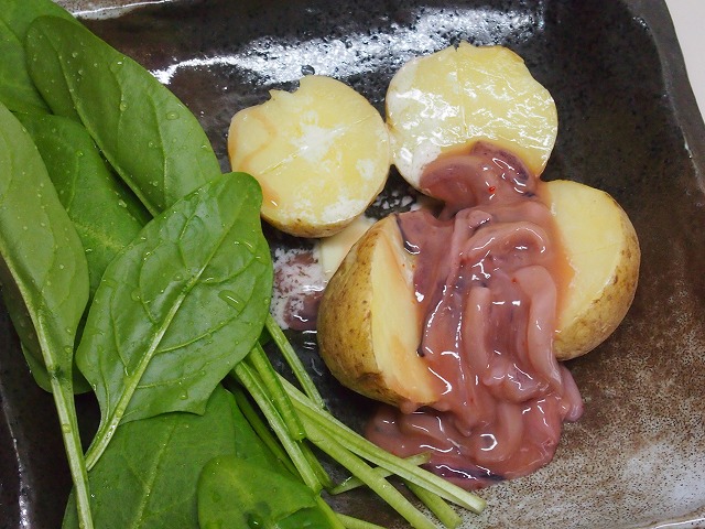 P2020018.jpg