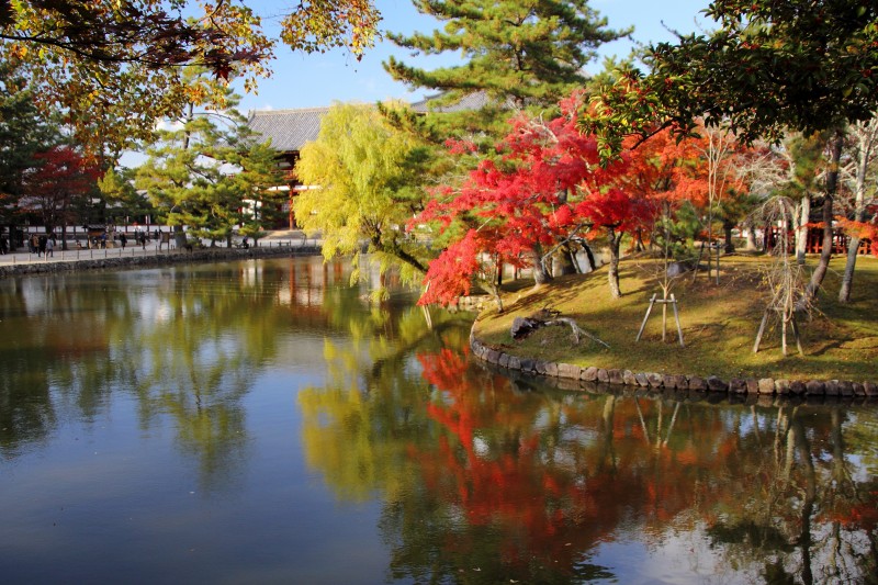 奈良公園・鏡池_005.jpg