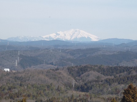 P1020317.JPG