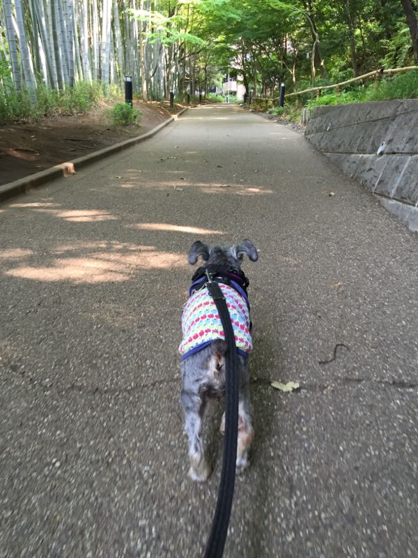 rblog-20160522014612-01.jpg