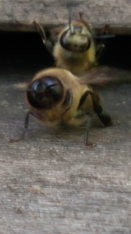 CAM00220.jpg