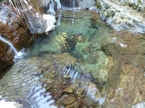 P1010555.JPG