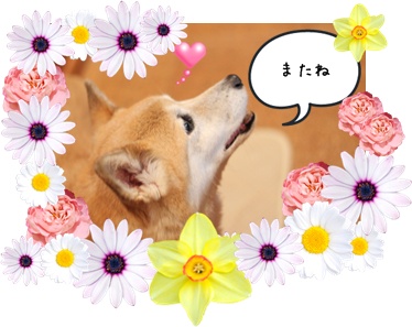 ちぃちゃん.jpg
