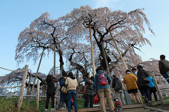 150419_03.jpg