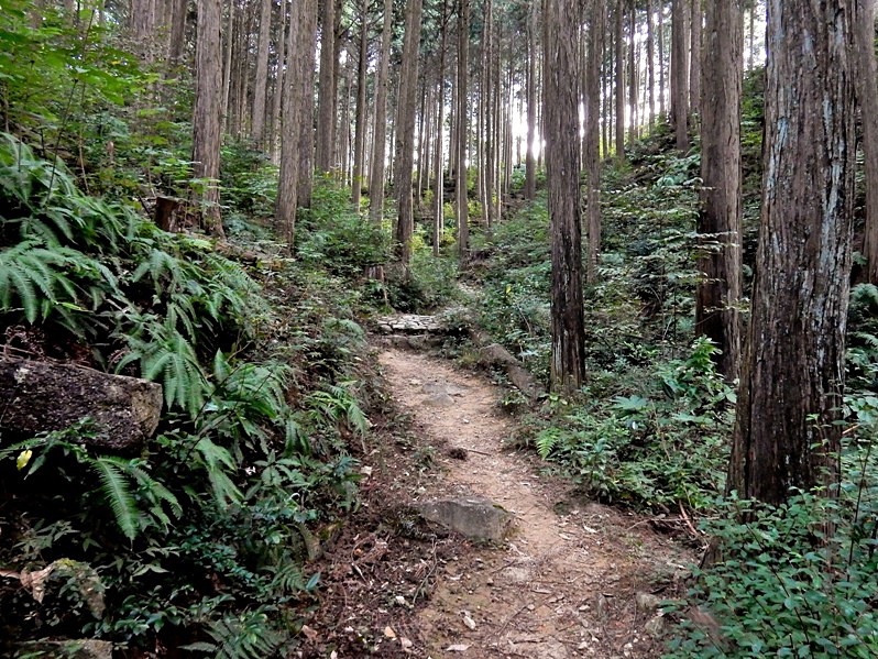 菊水山4.JPG