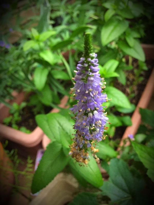 rblog-20160627210333-03.jpg