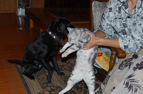 DSC_0011.JPG