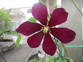 IMG_0302ss.jpg