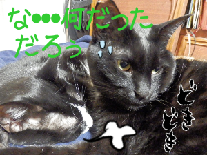 P5060022.png