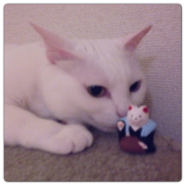 rblog-20130607231913-00.jpg