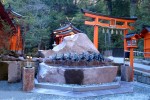 九頭龍神社 新宮前 龍神水.jpg