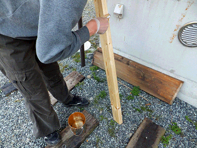 2015042501.gif