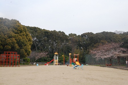 s-DSC_0446.jpg