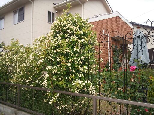 rblog-20140510090228-01.jpg