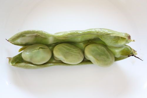 2015051702.JPG