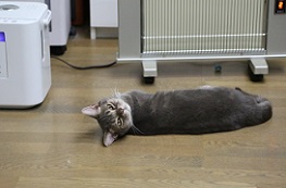 5DA_3368-29.jpg