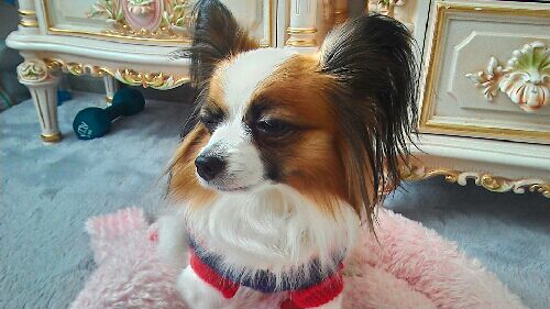 rblog-20150217194247-03.jpg