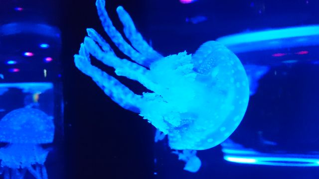 2015-08-23 10.08.46.jpg