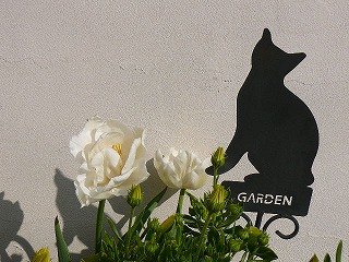 P1280182ss.jpg