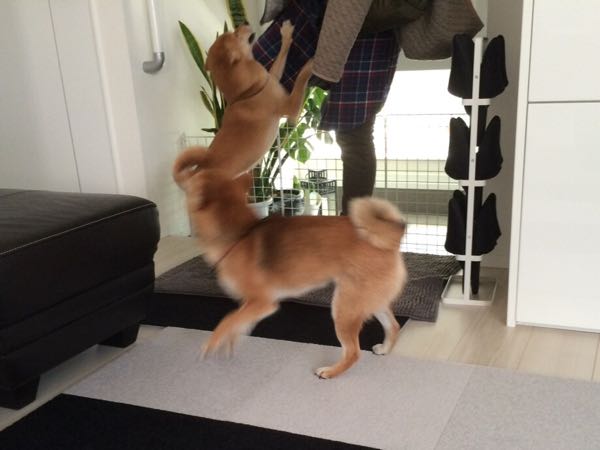 rblog-20160205225923-01.jpg