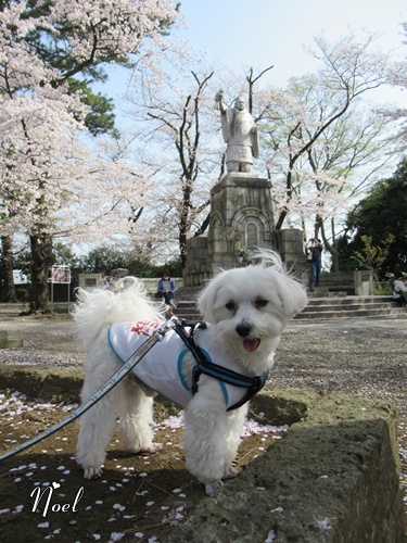 池上本門寺 ＆ 池上本門寺周辺にて