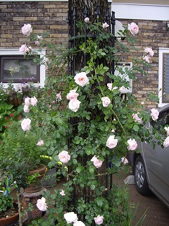 IMGP4488.jpg