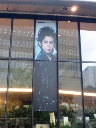 DSC_0690 (338x450).jpg