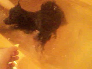 2012-03-31 00:41:50
