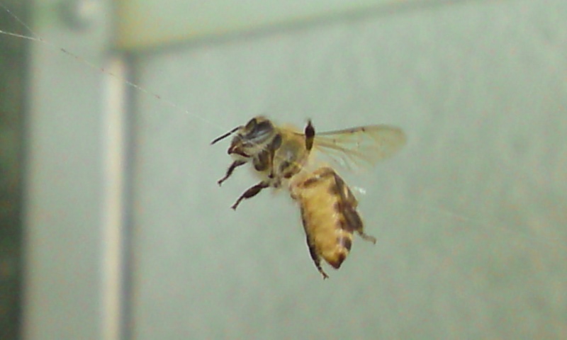 120813_1209~02.jpg