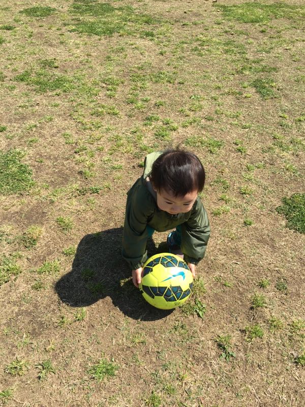 rblog-20160430225058-00.jpg