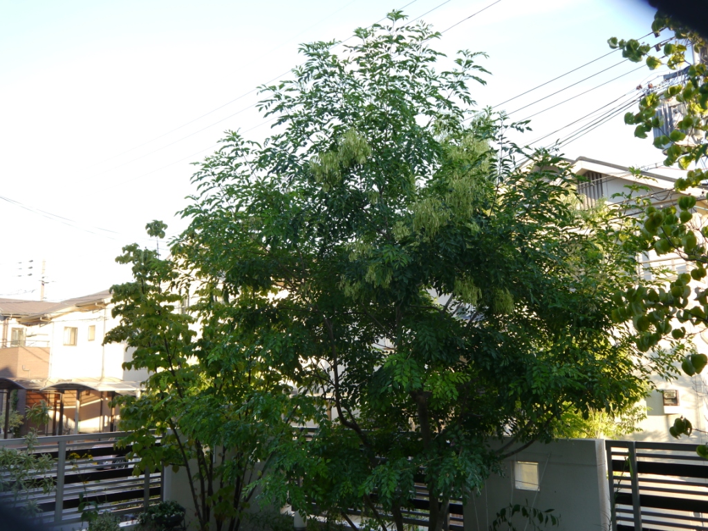 P1080524.JPG