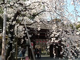 DSC_2703.jpg