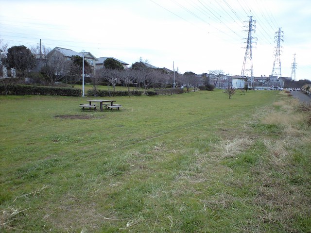 花見川千本桜緑地