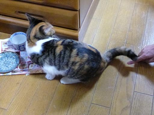 画像 2517.jpg