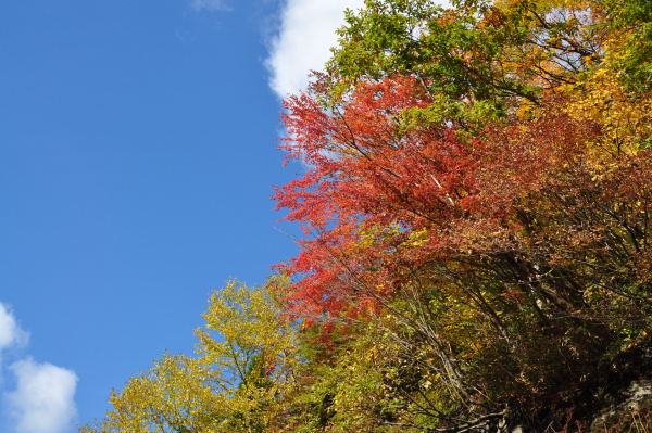 称名滝　紅葉