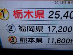 DSC02791_convert_20151225085208.jpg