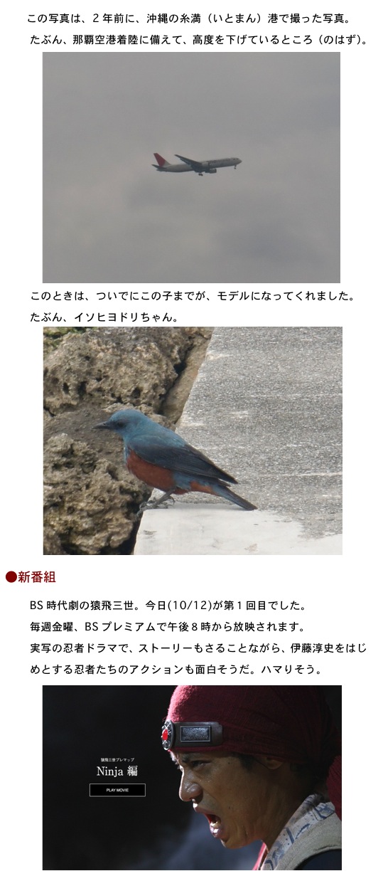 2012.10.12-3.jpg