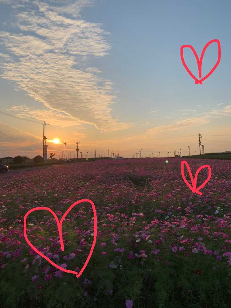 ちょうどよき。