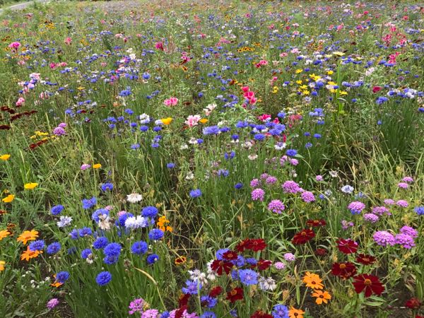 rblog-20170701082937<br />
-01.jpg