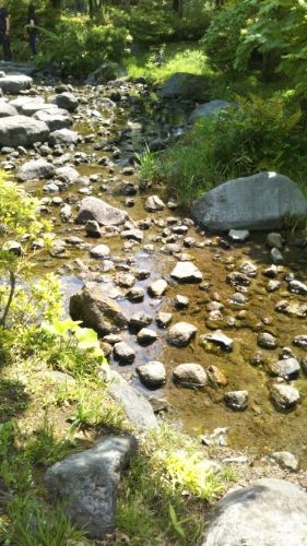 rblog-20180430203849-08.jpg
