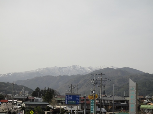 さくら道国際ネイチャーラン09