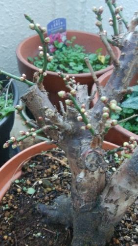 rblog-20171217074828-00.jpg