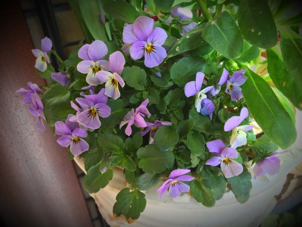 rblog-20160225162452-01.jpg