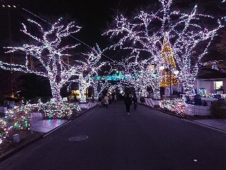 DSC_0660.jpg