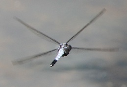 E7D_7077-2.jpg