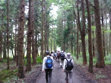 0907向山3