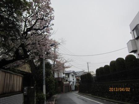 春の花の季節も終盤