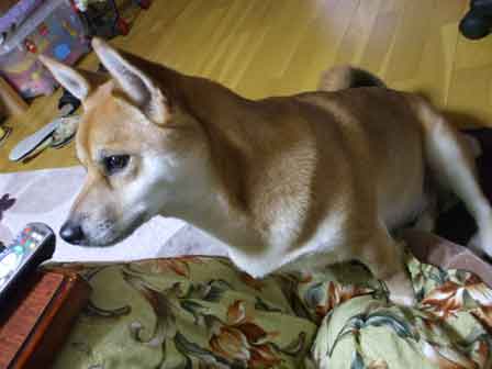 ちろ