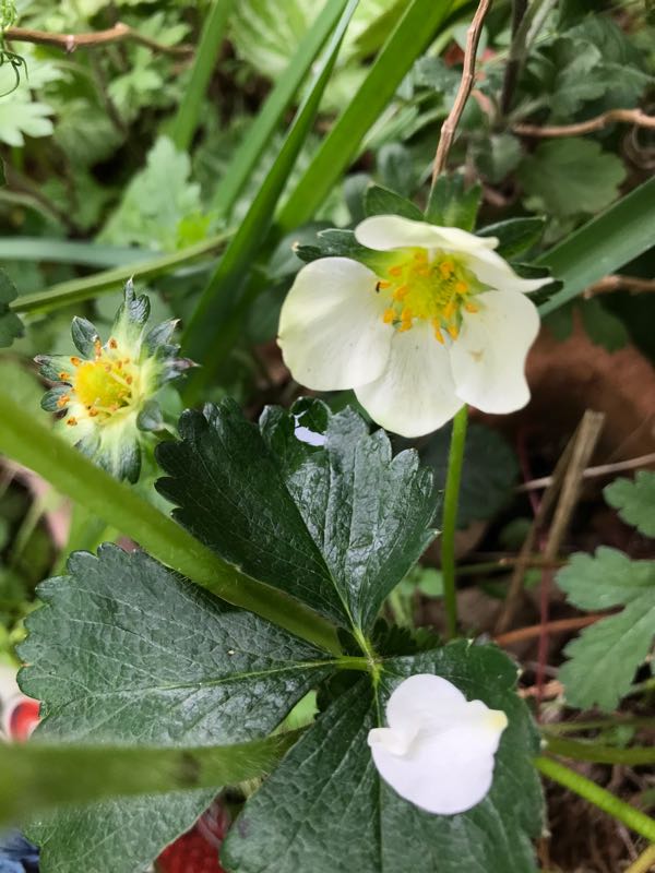 rblog-20190424153514-05.jpg